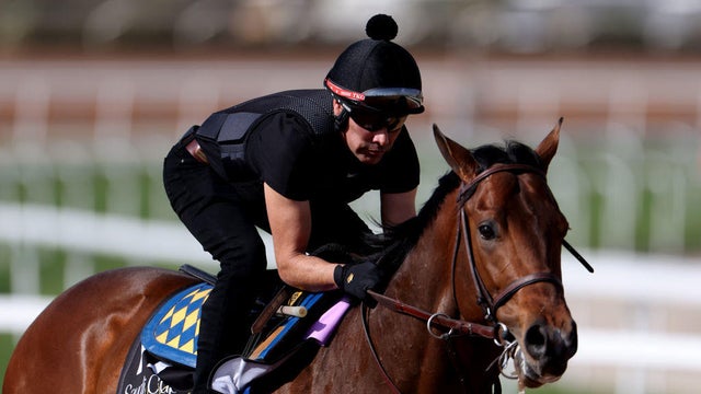 Saudi Cup - Previews 