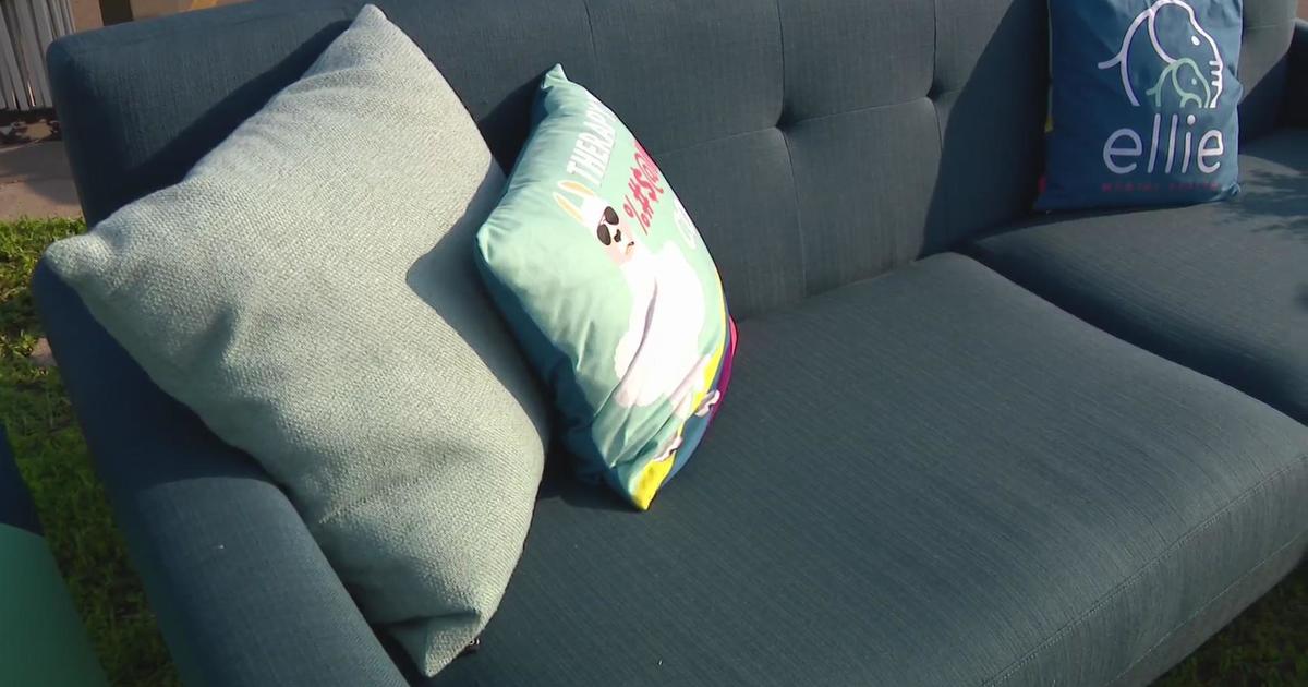 “Therapy Couches in the Wild” brings new look to mental health in Minneapolis