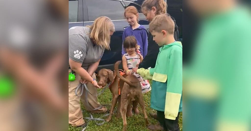 Kids get to meet 'real life superheroes' at Bella Terra Stables CBS