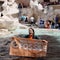 Climate activists pour charcoal into Trevi Fountain