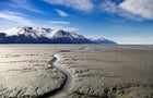 Alaska's Turnagain Arm mudflats are seen in 2010. 