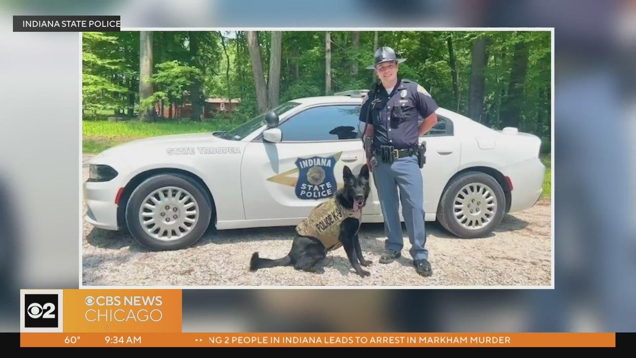 Indiana Police K-9 Jett gets new protective vest - CBS Chicago