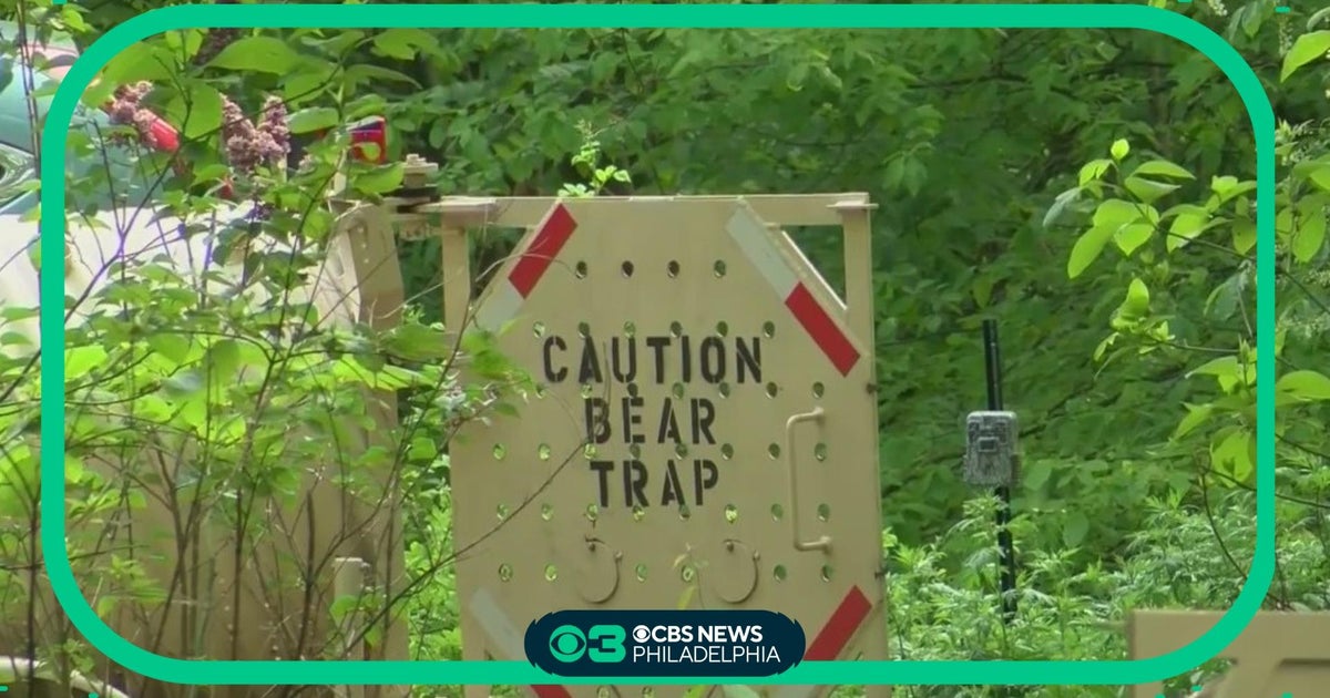 Bear attacks and injures 2 young children playing in their driveway in Pennsylvania - CBS Philadelphia