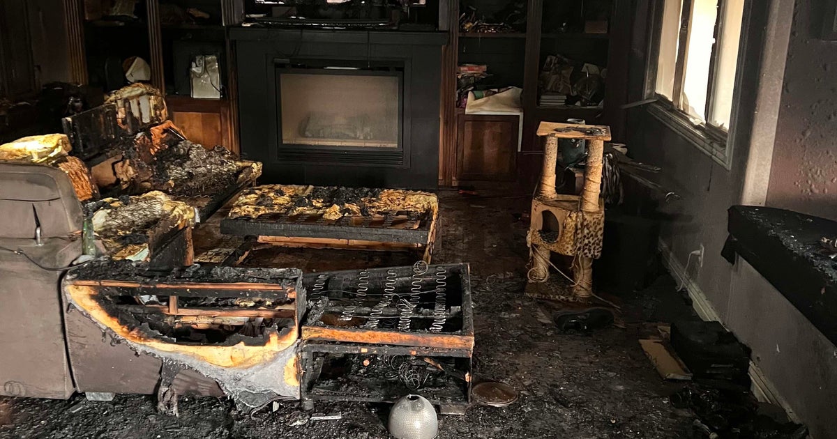Homeowner seriously injured in house fire, 1 cat and 1 dog died, 11 ...