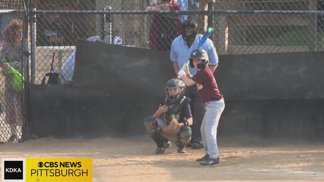 Little League parents and coaches are causing an umpire shortage