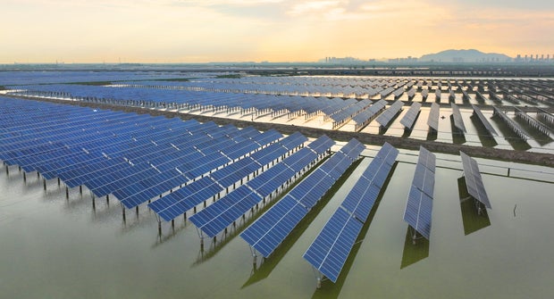 Rows of solar panels over the water 
