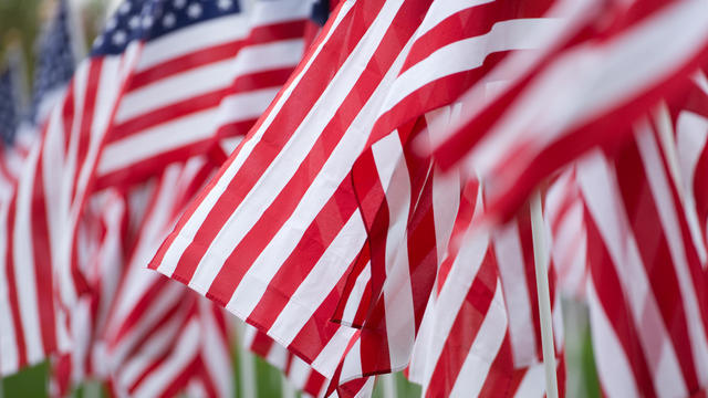 Several American flags blowing in the wind 