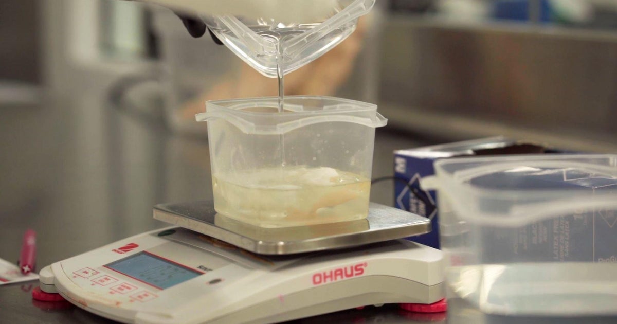 New England Living: Chew food innovation lab - CBS Boston