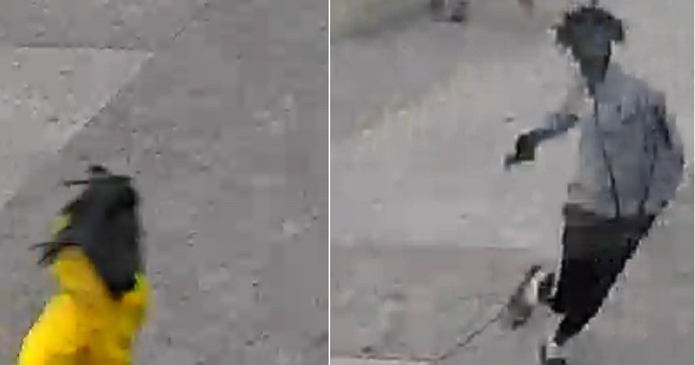 Memorial Day mass shooting in Florida: Video exhibits suspects, chaos soon after gunfire