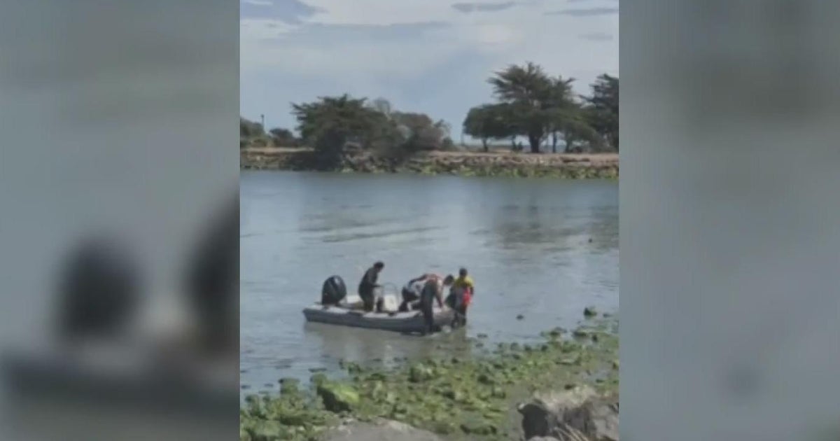 Family rescued from bay after kayaks capsize - CBS San Francisco