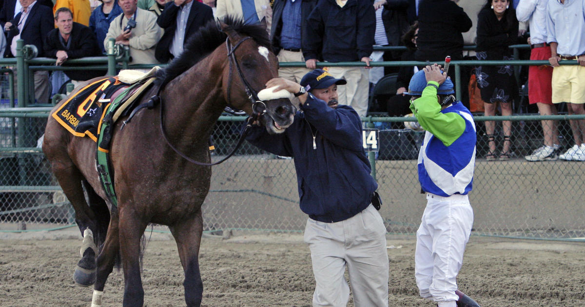 Wellknown horse deaths in races from the Kentucky Derby to Breeders