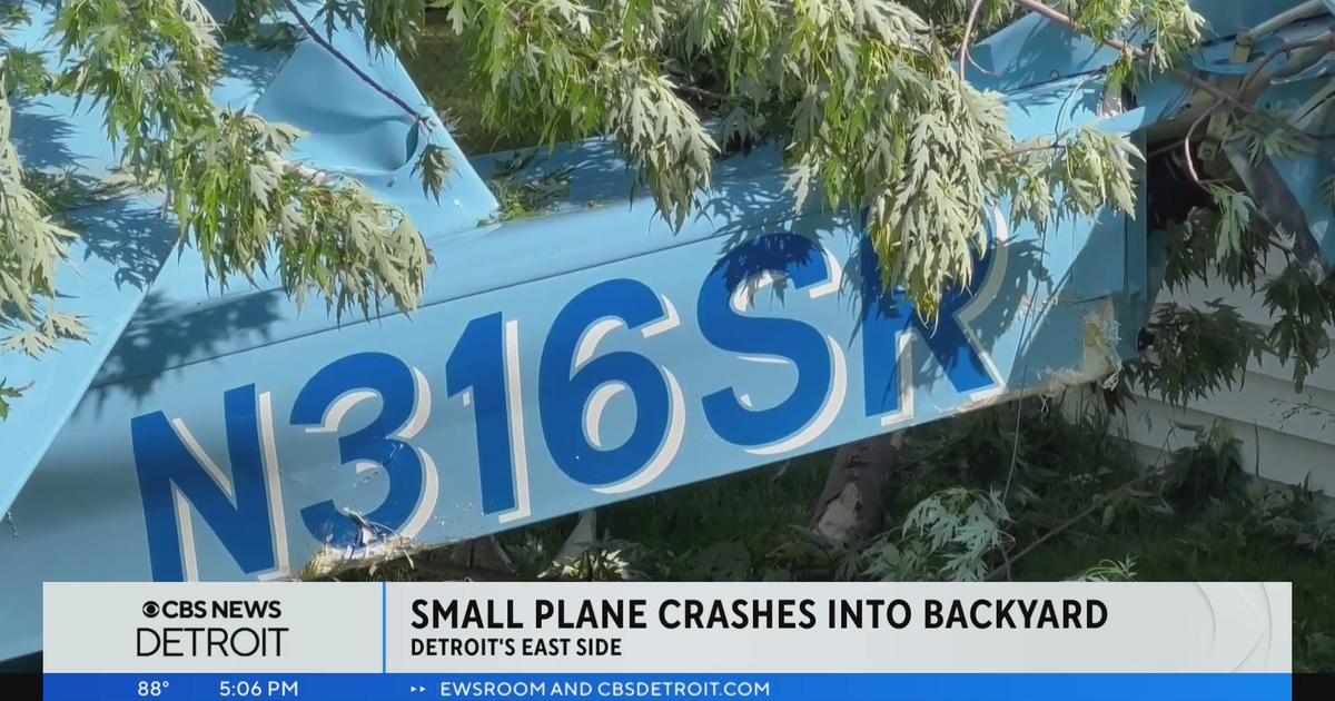 Detroit homeowner wants wreckage of a small plane crash removed from her backyard