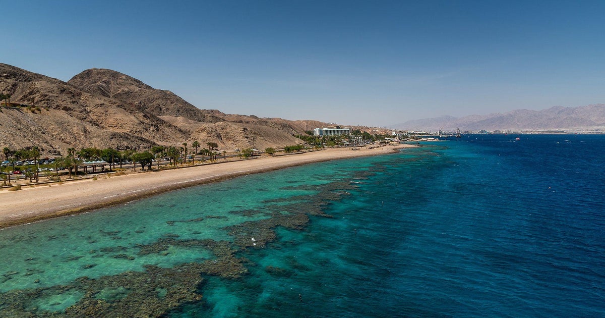 Black sea urchins have disappeared from the Gulf of Aqaba. Their reduction could eliminate off an entire coral reef