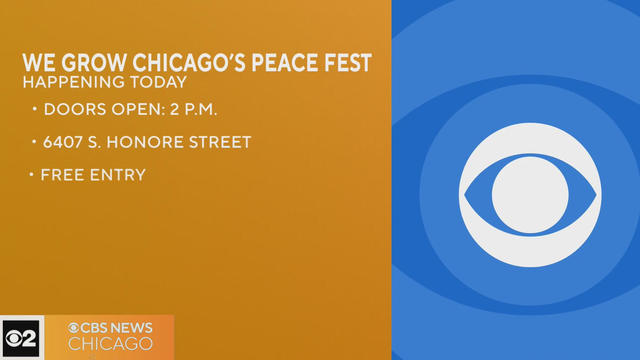 we-grow-chicago-peace-fest.jpg 