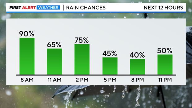 next-12-hrs-rain-pop.png 