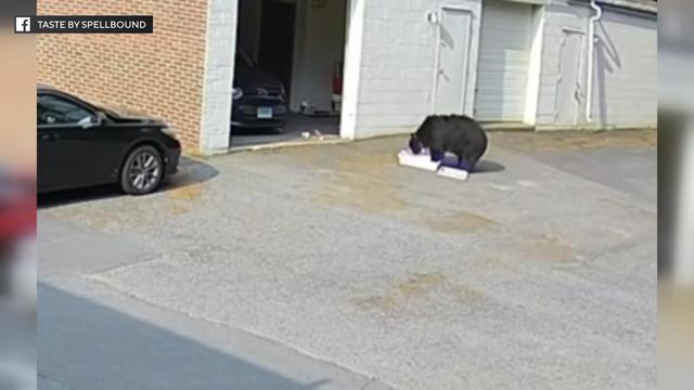 Surveillance video shows a bear eating cupcakes out of a box in the parking lot of a bakery. 