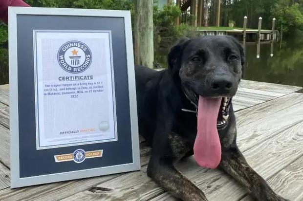 Zoey posing with her certificate 