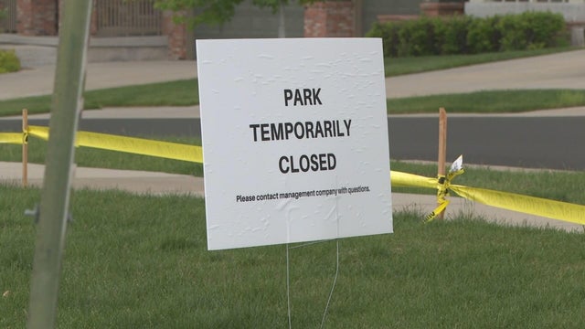parker-dog-deaths-pkg-transfer-frame-810.jpg 