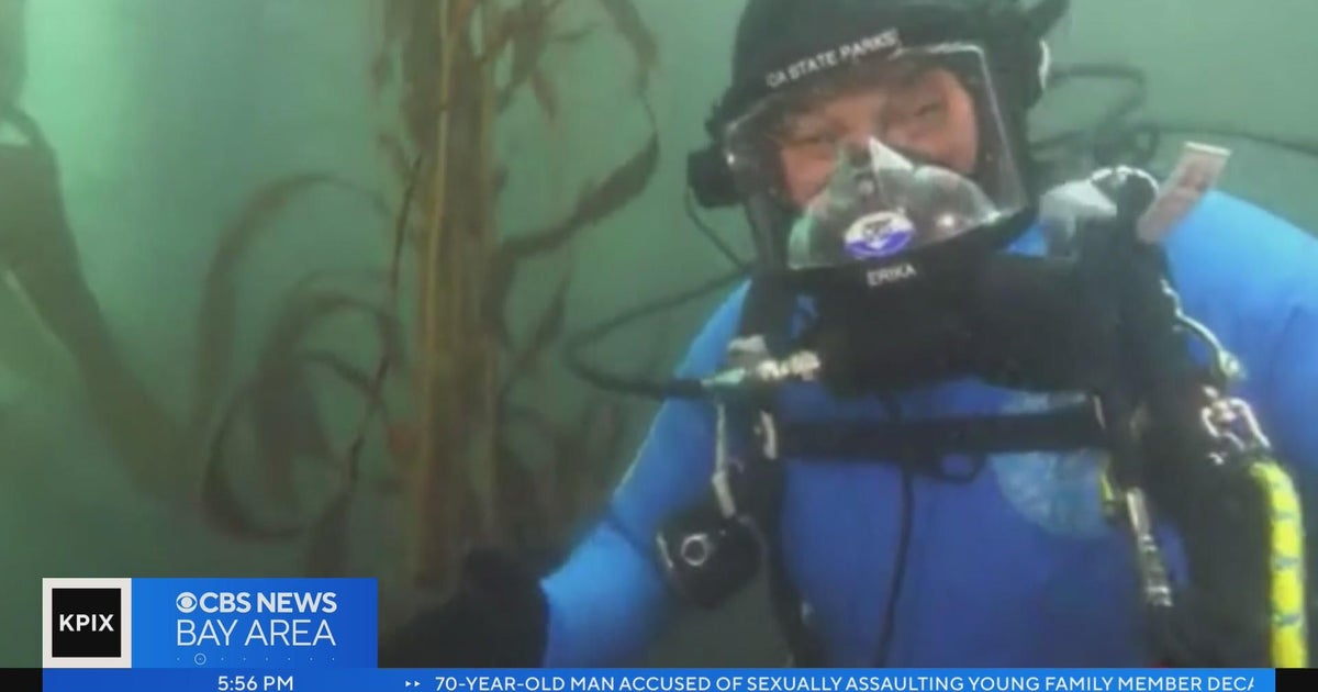 Underwater livestream to broadcast globally from Monterey Bay on World ...