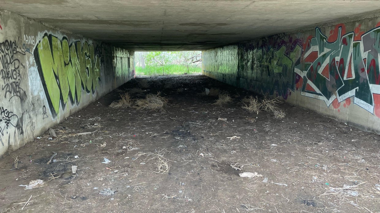 261 needles found in one homeless camp in Fort Collins CBS Colorado