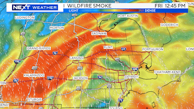 wildfire-smoke-futurecast-use-adobeexpress.gif 