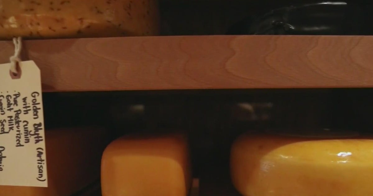 University of WisconsinMadison hiring parttime dairy tasters CBS