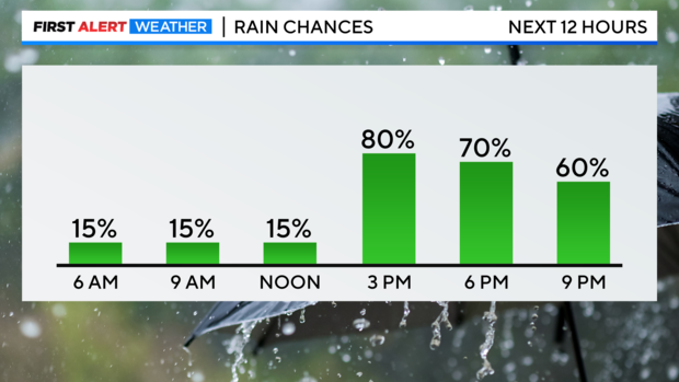 next-12-hrs-rain-pop.png 