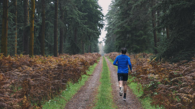 Rear view of an athletic male running on a rainy day in the forest 