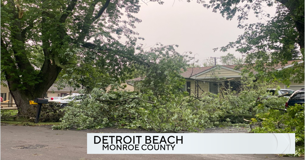 National Weather Service confirms EF1 tornado touched down in Monroe ...