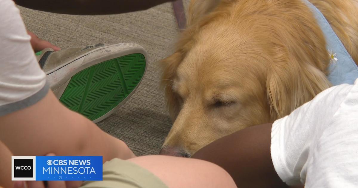 Emilie and Jada show off the KONG Wobbler  Warning: cute pup alert! One of  our awesome Adoption Counselors here at the Wisconsin Humane Society,  Emilie, made this amazing video with her