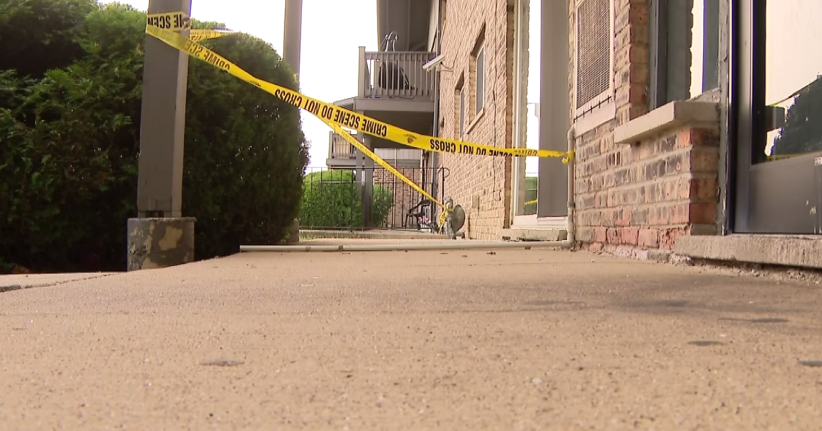 Woman's Apartment Riddled With Bullets After Willowbrook Shooting - CBS ...