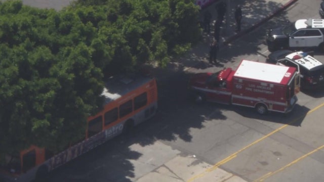 bus-stabbing.jpg 