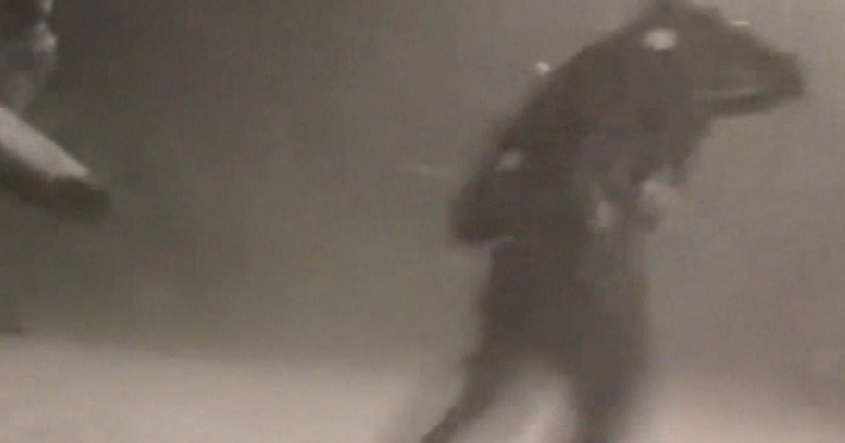 Red Rocks hailstorm: Cellphone videos, photos show terrifying scene ...