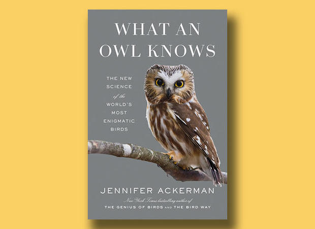 what-an-owl-knows-penguin-press-cover-660.jpg 