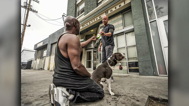 Homeless Pets Street Vet - Big Mike 