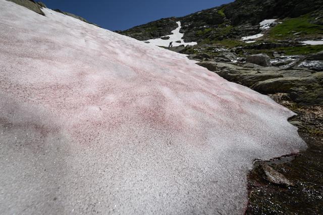 Watermelon Snow and Palm-Size Snowflakes: Exciting Facts About Snow