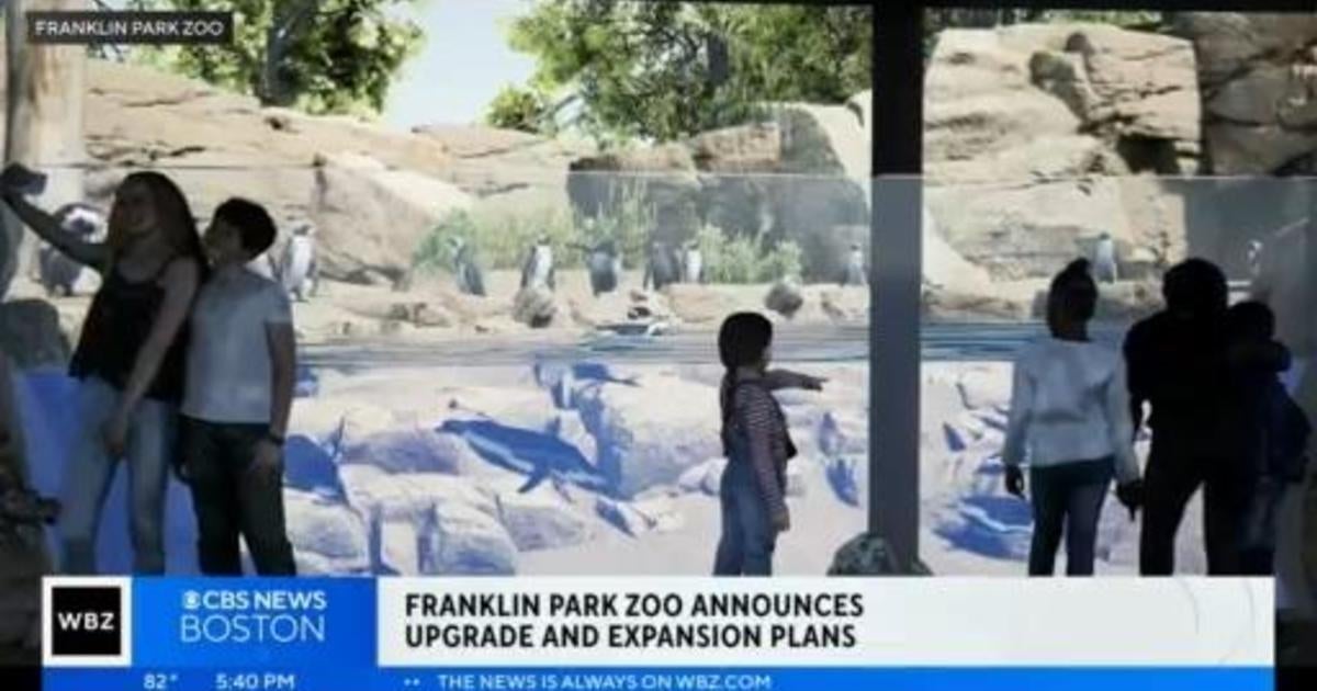 Franklin Park Zoo announces upgrade, expansion plans