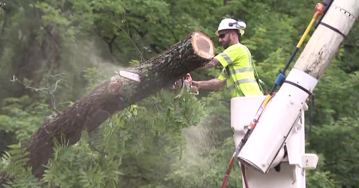 Severe storms bring down trees, power lines in New Jersey - CBS New York