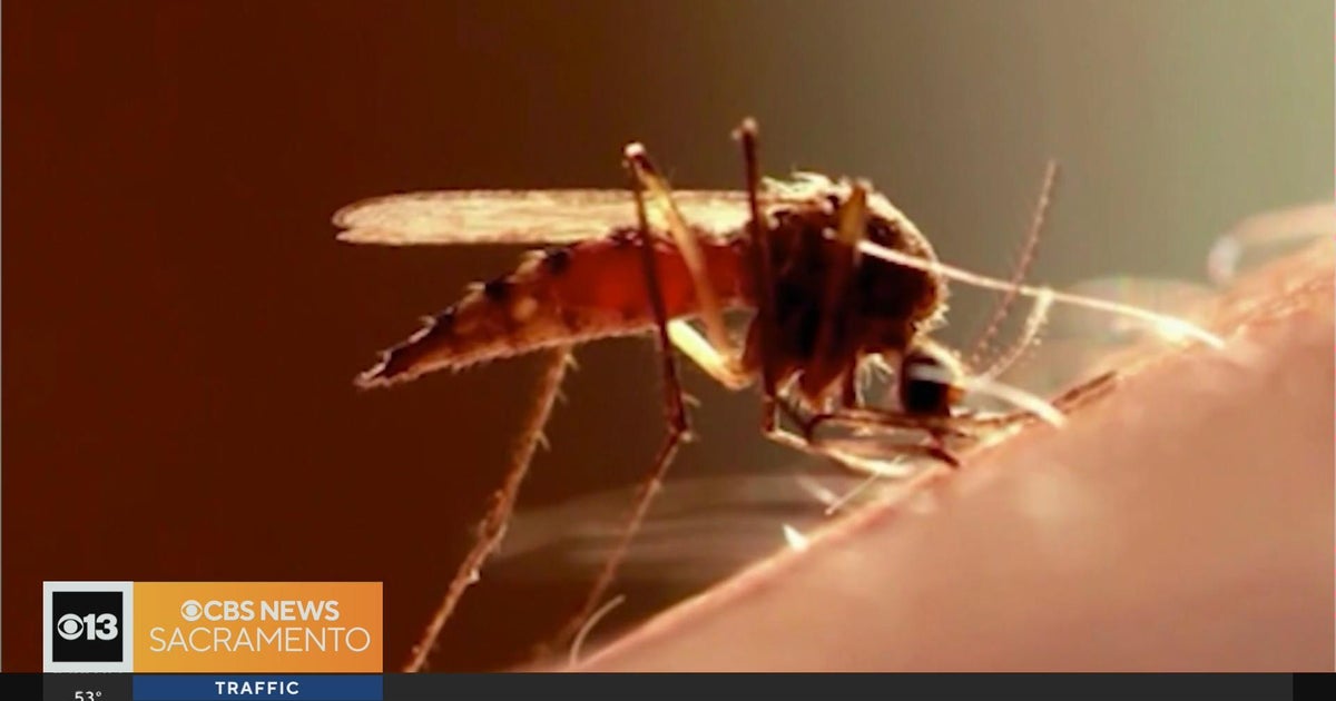 Morning headlines - 06/27/2023