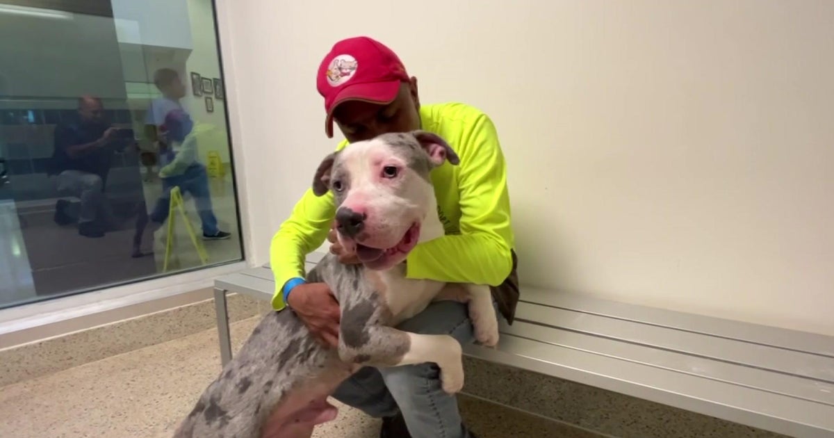 Miami Happy: Miami-Dade attorney enjoys serving to out at Animal Services Miami Happy: Miami-Dade attorney enjoys serving to out at Animal Services