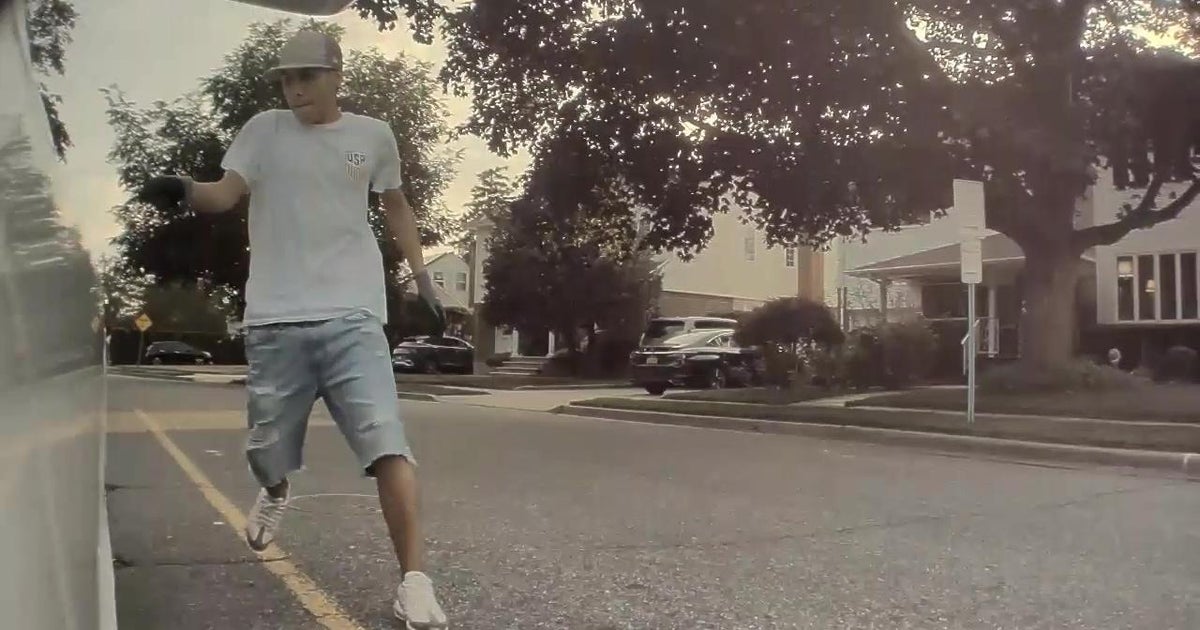 Caught on video: Brazen, broad daylight smash-and-grab from car at a ...