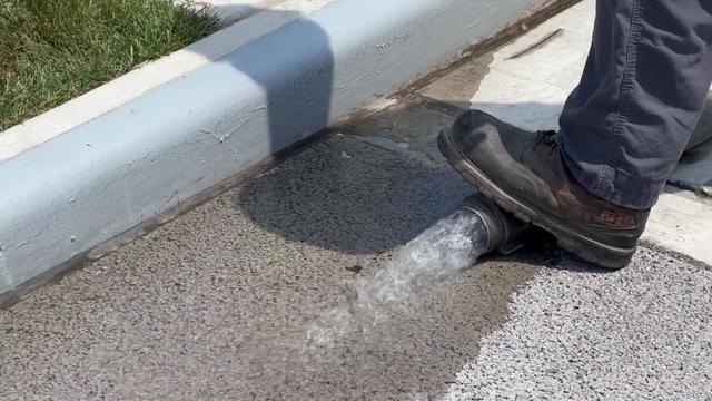 A hose lays on the ground as water pours onto concrete. 