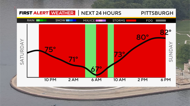 next-24-hours-temp-line-weather-bars-camera.png 