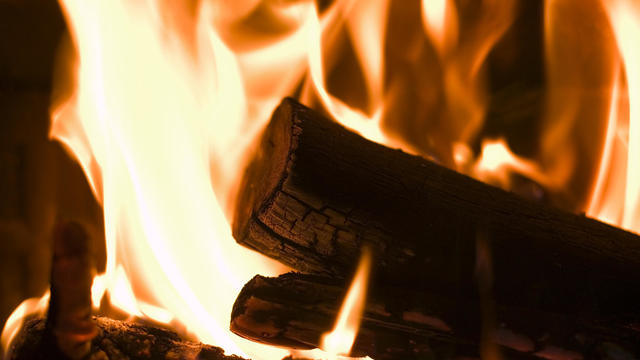 Log Burning in Stove 