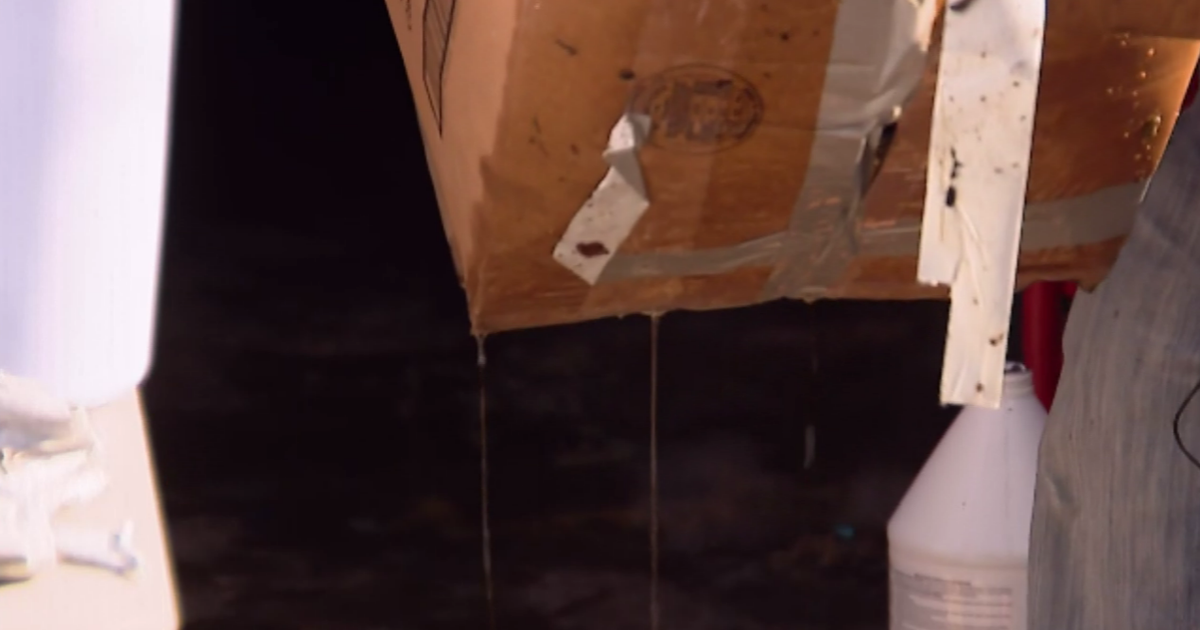 Flood victims face long and expensive repairs after historic rainstorms