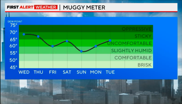 muggy meter 