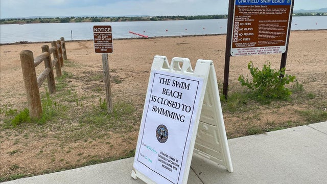 chatfield-swim-beach-copy.jpg 