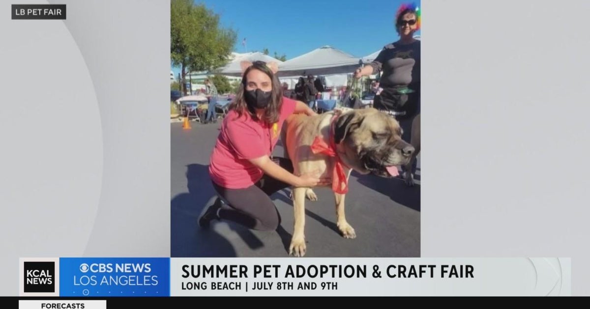 Long Beach Pet Fair Shameless Weekend Weather Plug CBS Los Angeles