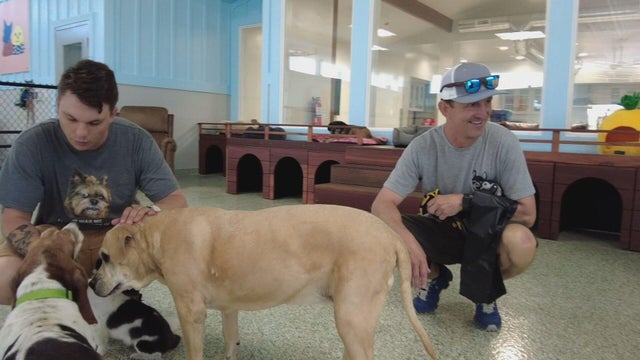 Unadoptable dog sanctuary best sale