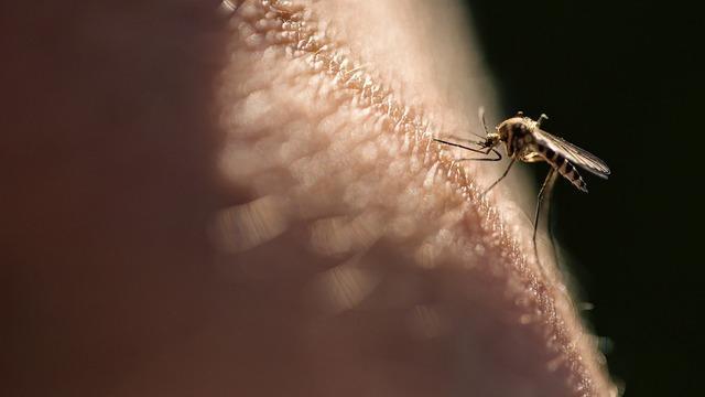 cbsn-fusion-the-best-ways-to-stay-safe-from-mosquito-borne-illnesses-according-to-a-doctor-thumbnail-2110564-640x360.jpg 